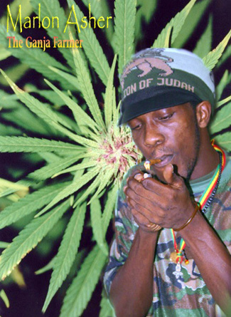 ganja